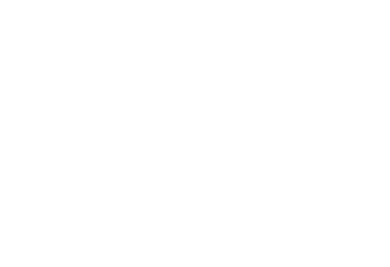 Carson Gardnerville Christmas Light Installation Logo